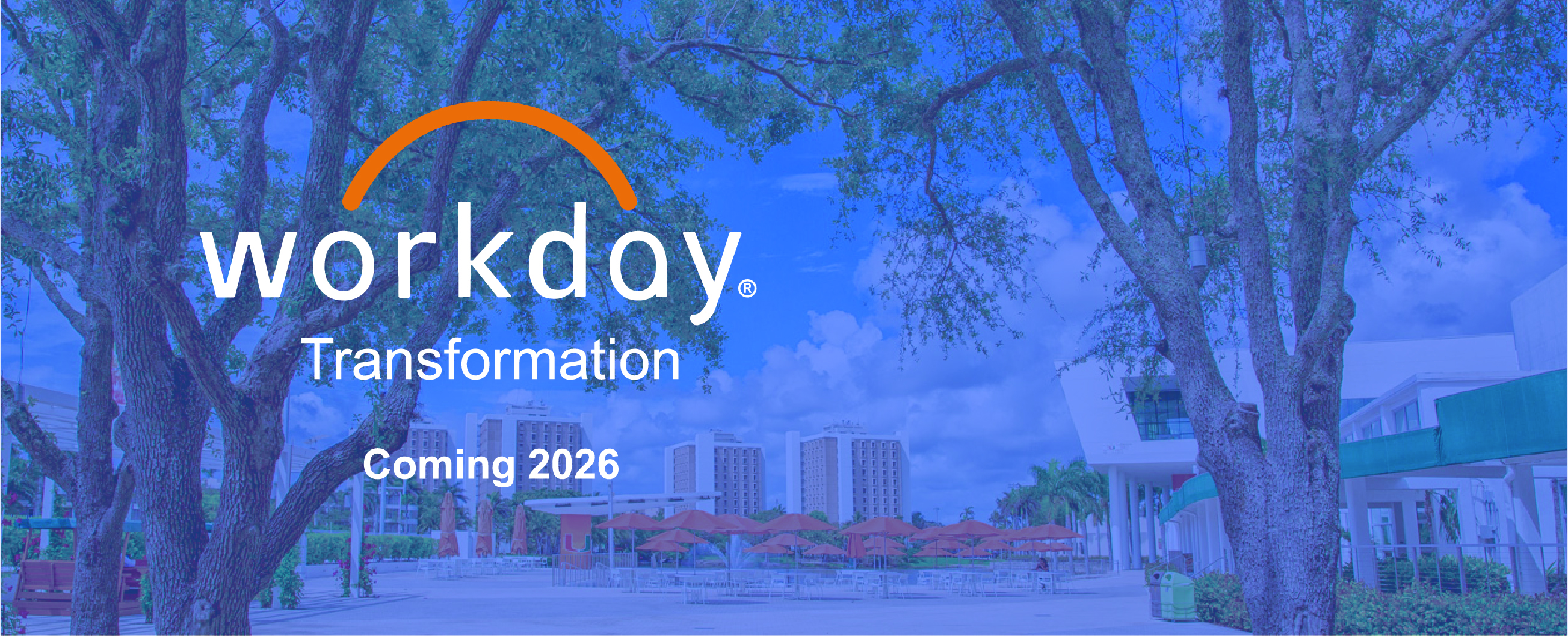 Workday Transformation Large